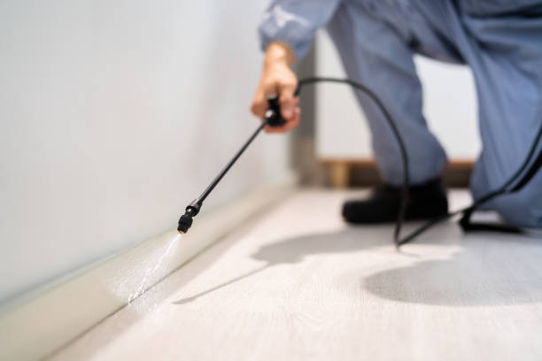 Professional exterminator conducting IPM assessment in Brazil