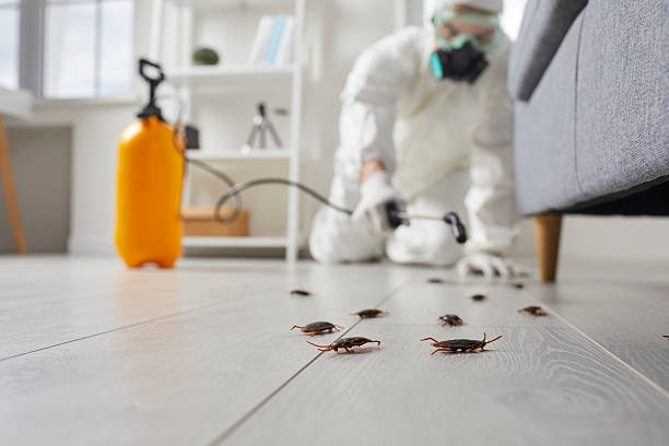 Commercial Rodent Management in Brazil